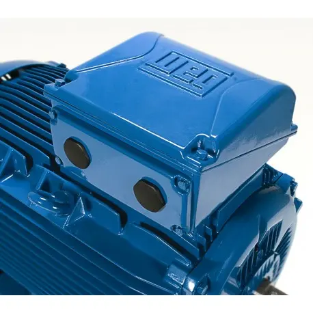 moteur-electrique-triphase-b3-30-kw-1000-tr-min-400v-690v-ha-225 (3).webp