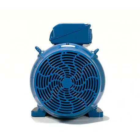 moteur-electrique-triphase-b3-30-kw-1000-tr-min-400v-690v-ha-225 (2).webp