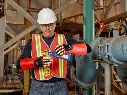 RINGERS 074 Chemical Application - Examining Barrels.webp