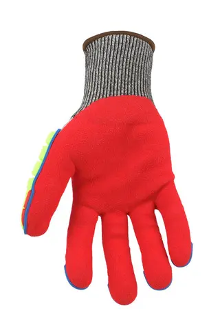 065G_palm.webp