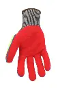 065G_palm.webp