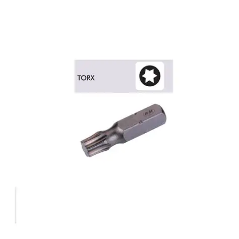CE10T COMPO EMB.TORX 25MM SECU