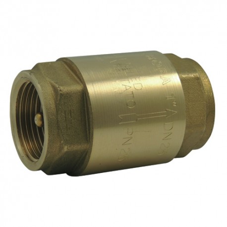 CLAPET ANTI-RETOUR A RESSORT DIAM 2"