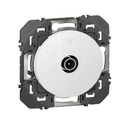 DOOXIE  TV MALE ETOILE BLINDEE BLANC