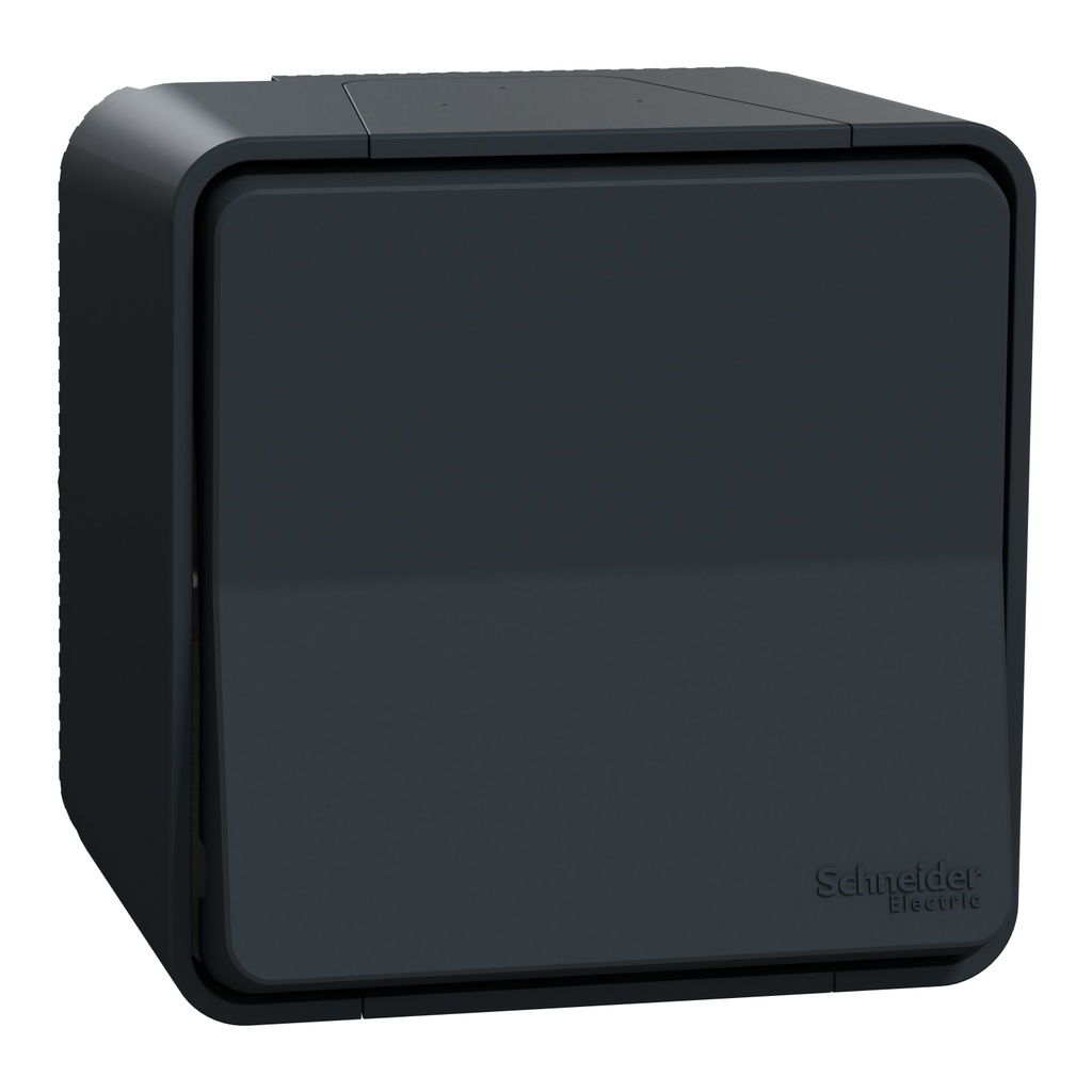 Interrupteur Mureva Styl va-et-vient saillie 10AX 250V IP55