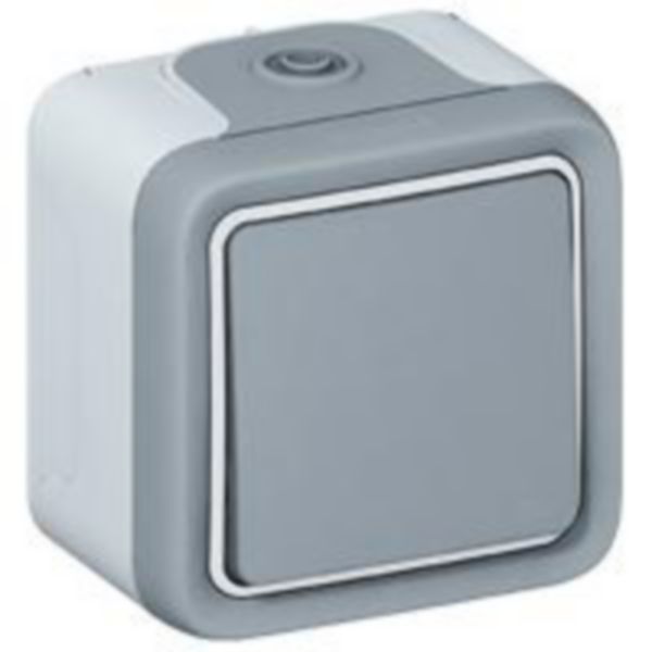 PLEXO VA ET VIENT  GRIS SAILLIE UV/1