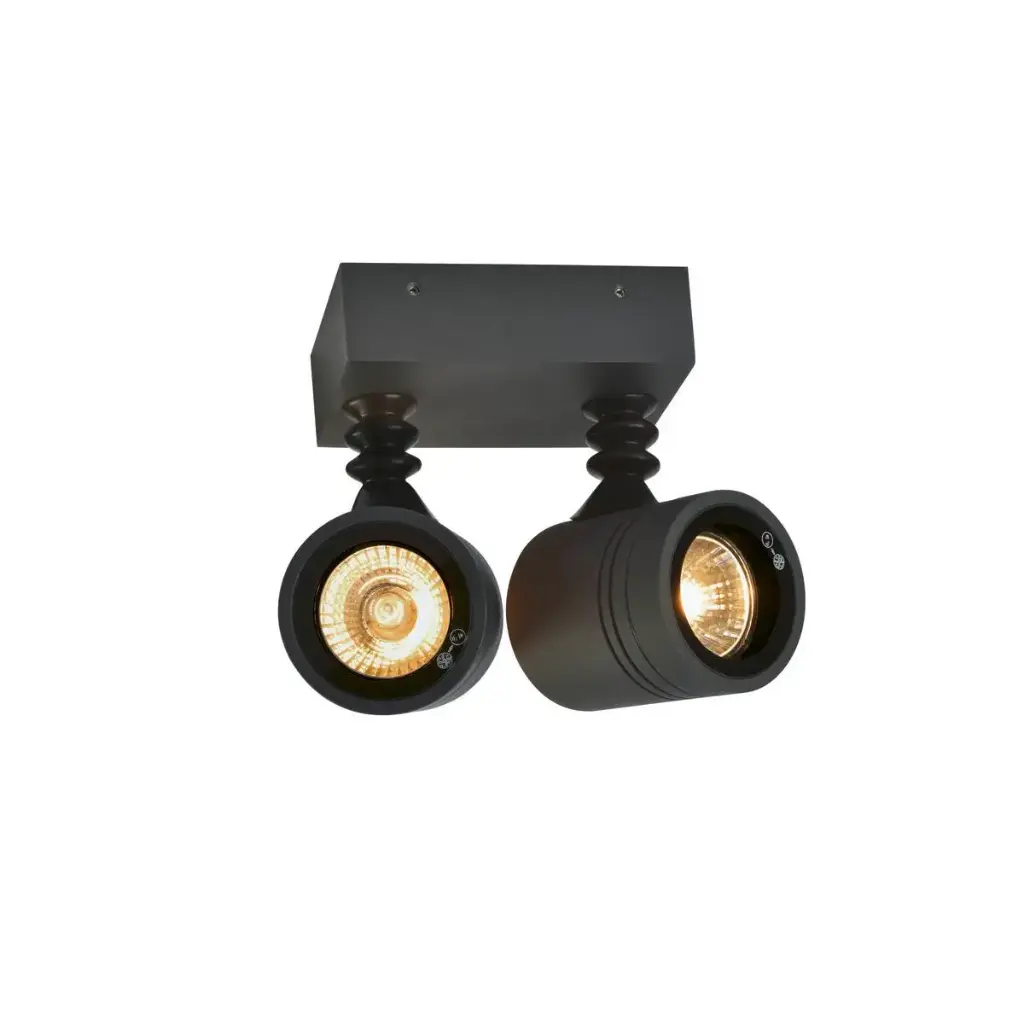 Applique et plafonnier GU10 multidirectionnel apparent extérieur 2 x 50 W IP55 IK02  