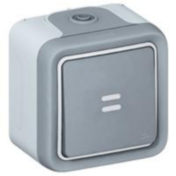 PLEXO POUS.NO LUMINEUX IP55 IK08 GRIS SAILLIE NOUVEAU