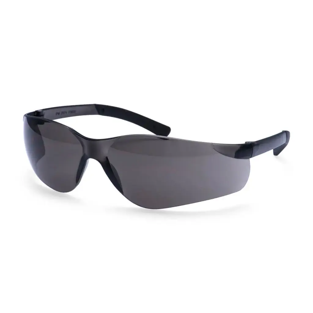 Lunettes panoramiques de vue noir