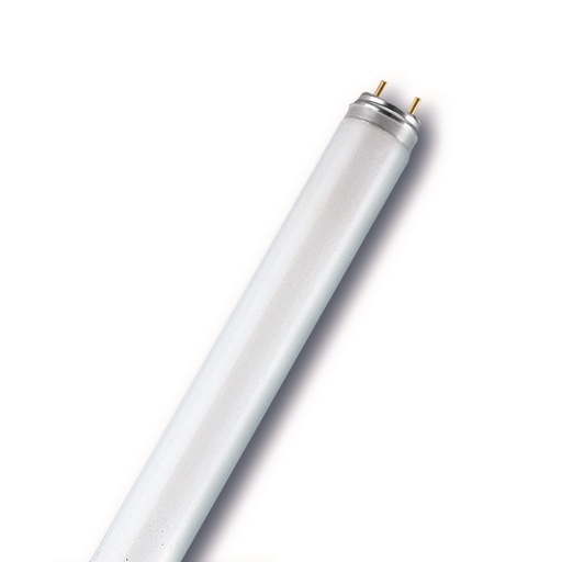 [RADNL36ROUGE] TUBE NEON G13 LDJ 36W  ROUGE  /PCE