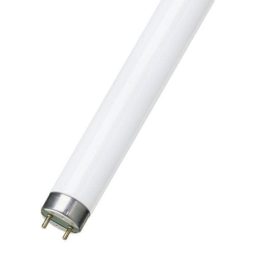 [RADNL36VERT] TUBE NEON G13 LDJ 36W  VERT  /PCE