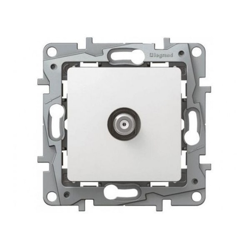 [LEG664751] TV MALE ETOILE BLINDE PUR