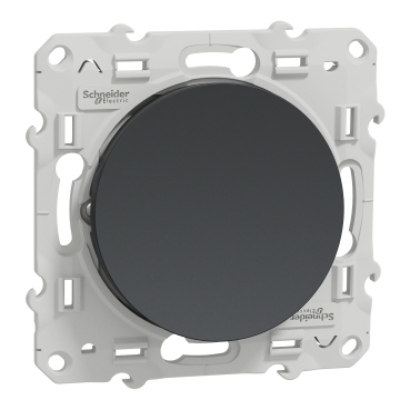 [MEGS540204] Odace - va-et-vient - anthracite - 10A 