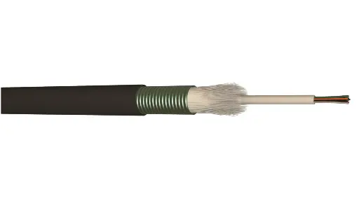 [CAEEXTALCT12OM3] 12FO OM3 LIBRE EXT ACIER PE TUBE  CENTRAL  NOIR T4000