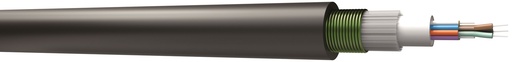 [CAEEXTALCT12OS2] 12FO OS2 LIBRE EXT ACIER PE  TUBE CENTRAL - NOIR T4000
