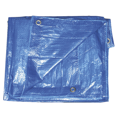[BMB15562] BACHE STD POLYETHYLENE 4X6M